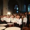 jdlf-2009-14-099