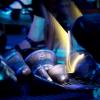 festival-jdlf-2010-9-114