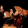 festival-jdlf-2010-8-028