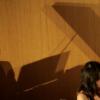 fjdlf-2011-5-021