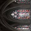fjdlf-2013-7-29-