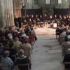 fjdlf-2013-14-56-
