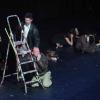 fjdlf-2013-12-26-