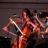fjdlf-2013-12-96-
