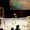 fjdlf-2013-8-5-