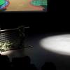 fjdlf-2013-8-16-