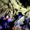 fjdlf-2021-04-54-