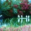 alors-on-sort-162-