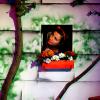la-mascara-blanche-neige-72-