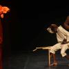 le-chemin-des-tirailleurs-41-