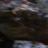 nogentum-245-