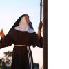 nogentum-220-