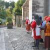 nogentum-66-