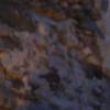 nogentum-233-