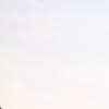 nogentum-174-