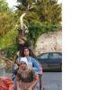nogentum-62-