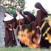 nogentum-217-