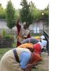 nogentum-133-
