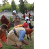 nogentum-131-