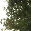 nogentum-124-