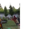 nogentum-116-
