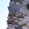 nogentum-216-
