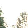 nogentum-154-