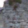 nogentum-204-