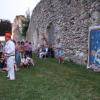 nogentum-235-