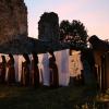 nogentum-231-