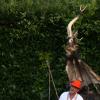 nogentum-192-