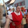 nogentum-159-