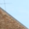 nogentum-161-