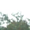 nogentum-76-